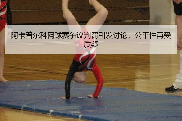 a-ka-pu-er-ke-wang-qiu-sai-zheng-yi-pan-fa-yin-fa-tao-lun-gong-ping-xing-zai-shou-zhi-yi-3-849.jpg
